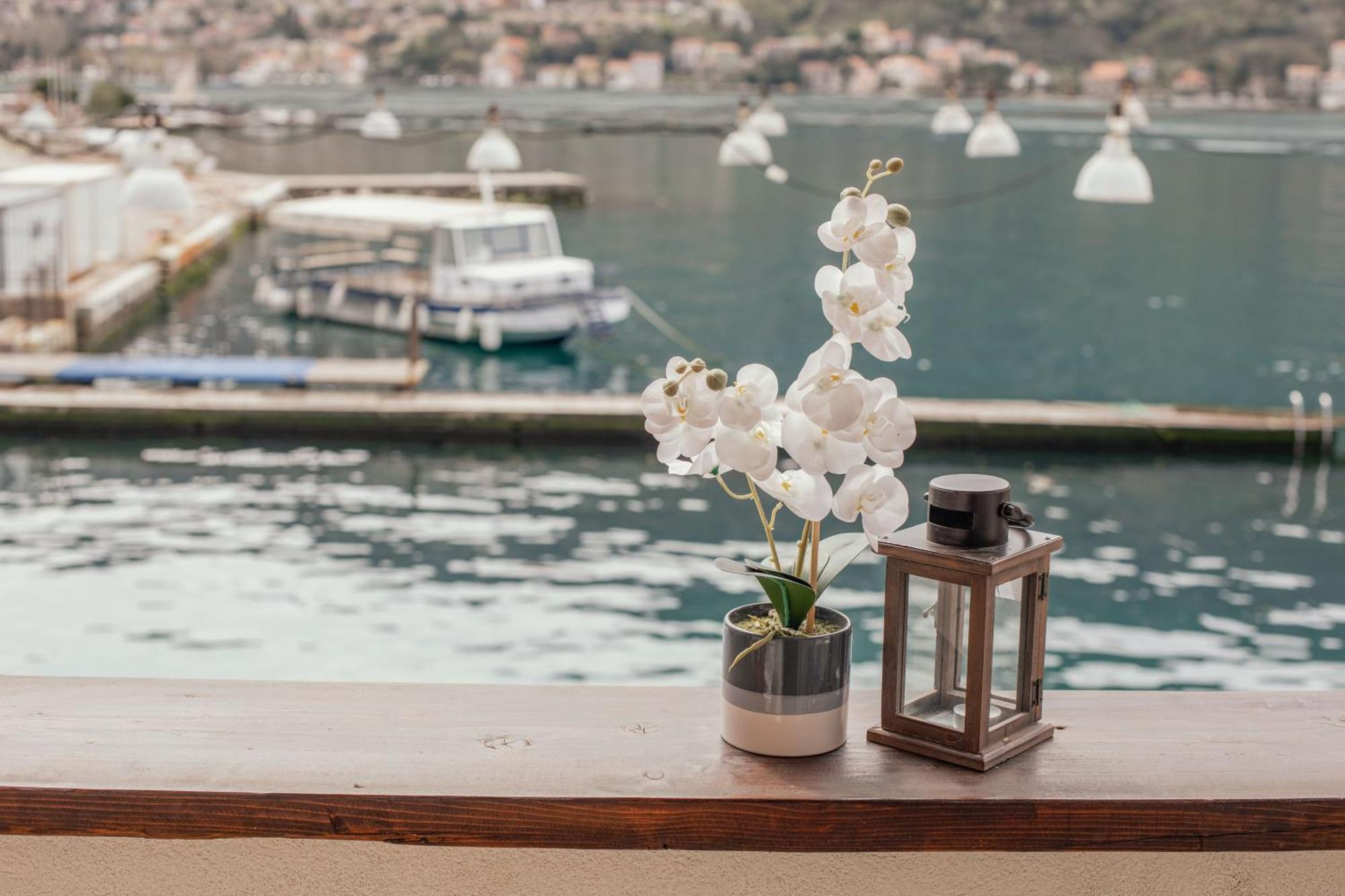 Step To Kotor Bay Guesthouse ภายนอก รูปภาพ